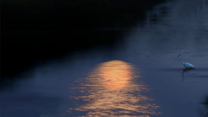 心に残る情景*「芝川の夜」