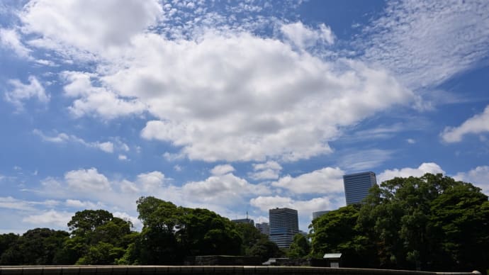 夏 by 空倶楽部