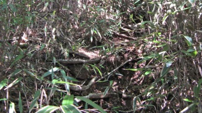登山再開時は、登山道の荒廃に注意