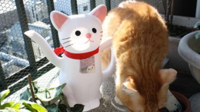ネコジョーロ
