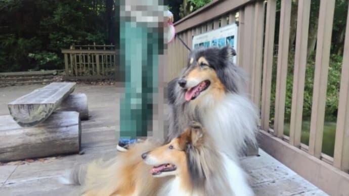 早すぎました!