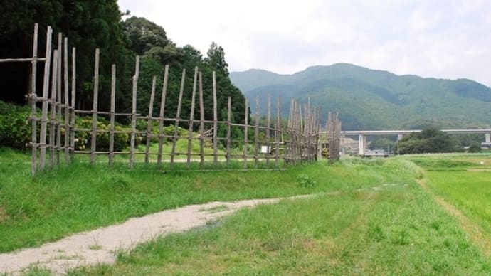 #3679 三遠駿 設楽原の決戦場