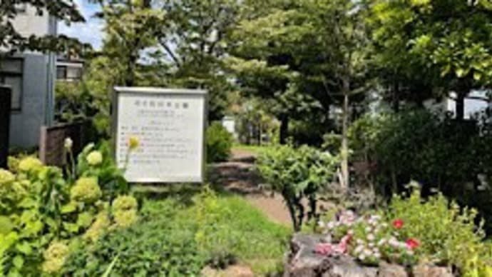 花6花の木公園