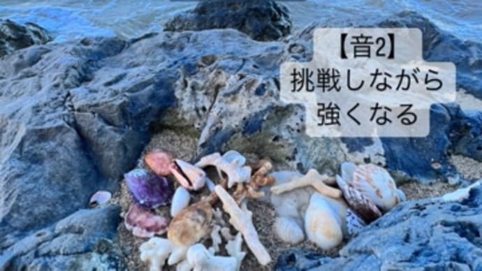 〜マヤ暦　K172    黄色い人・白い犬・音3〜　　起こることには意味がある