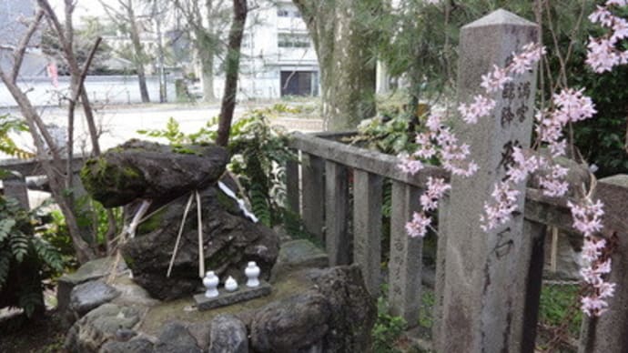水火天満宮「桜花祭」　＠　京都妖怪探訪（４０１）