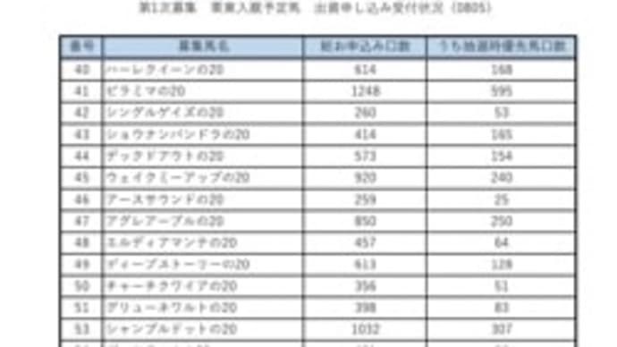 シルク2021 募集馬 最終中間発表
