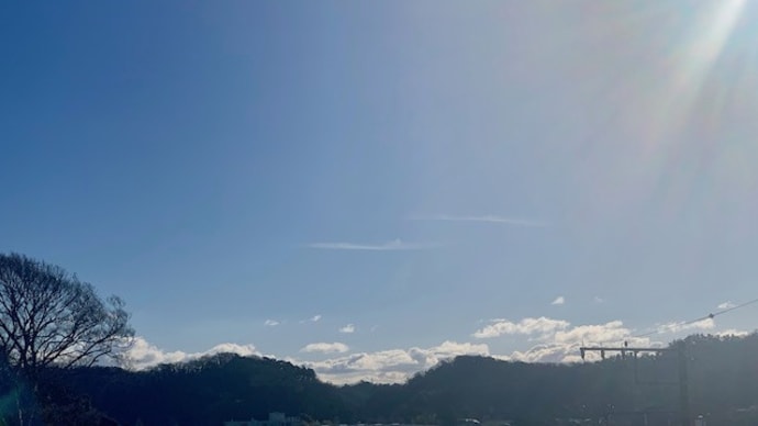 少し人出を避けて散歩がてらに初詣