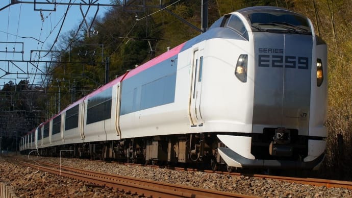2024年2月26日 総武本線 物井 E259系 成田エクスプレス