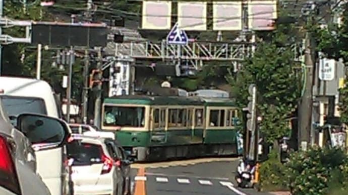 Sept. 江の島 シラスのお昼ご飯