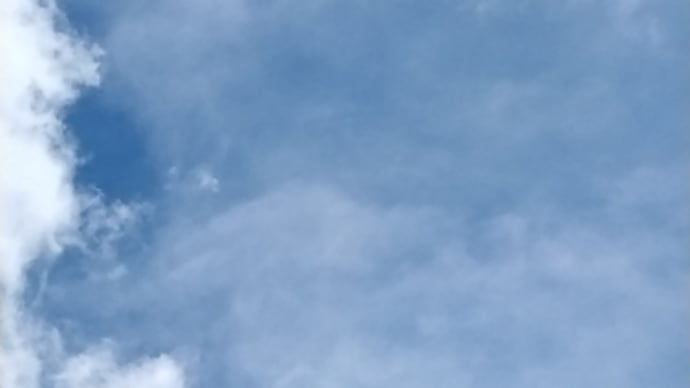 久ぶりの太陽