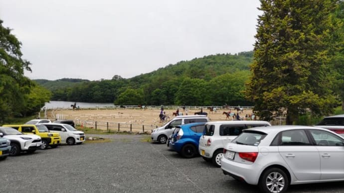38鞍の騎乗 クレイン東広島乗馬クラブ