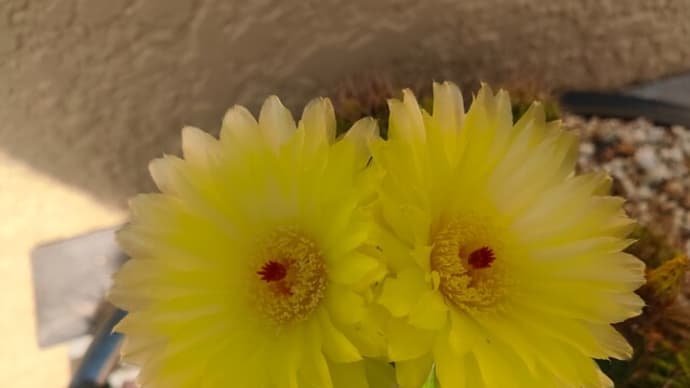 7月9日練習日記
