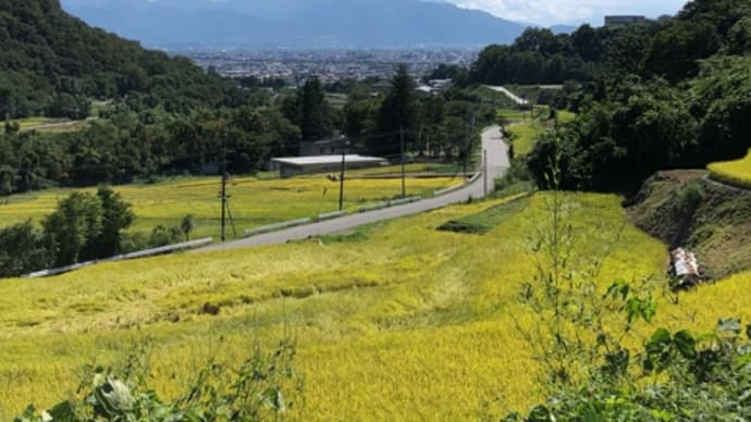 そば山菜洞しを里