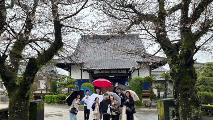 旅行(24-3) 九州への旅 おふくろさんの墓参り