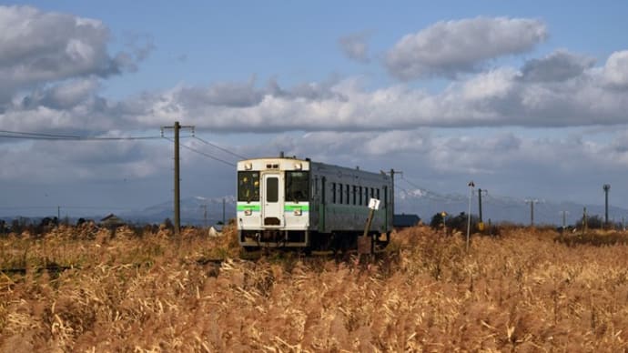 2021/11/17(水)曇り 、遠くに見る山並みは雪化粧、平地の初雪は“まだかな~、まだかな~”てか☆