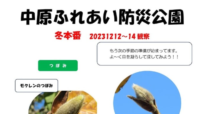 かんさつ さんぽ in中原ふれあい防災公園