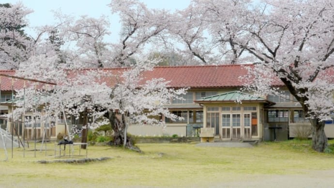 彩の国・・・比企のお花見・・・小川町小学校下里分校・・・サイタサイタ サクラガサイタ