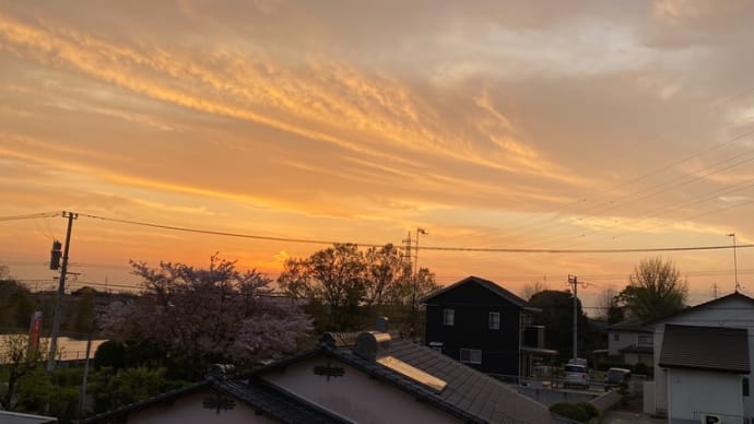今日は自然のエネルギーを頂いてきます
