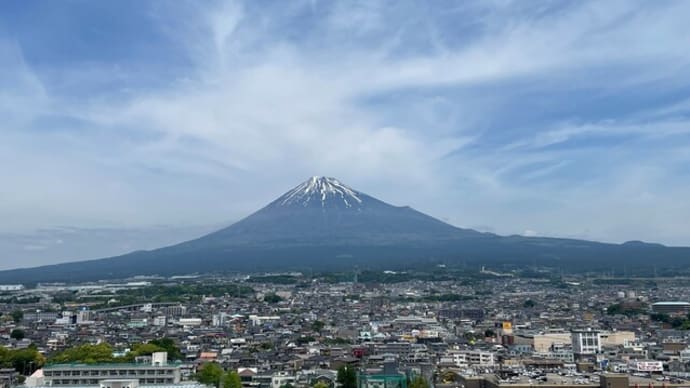 パンジーが終わりマリーゴールドを植える