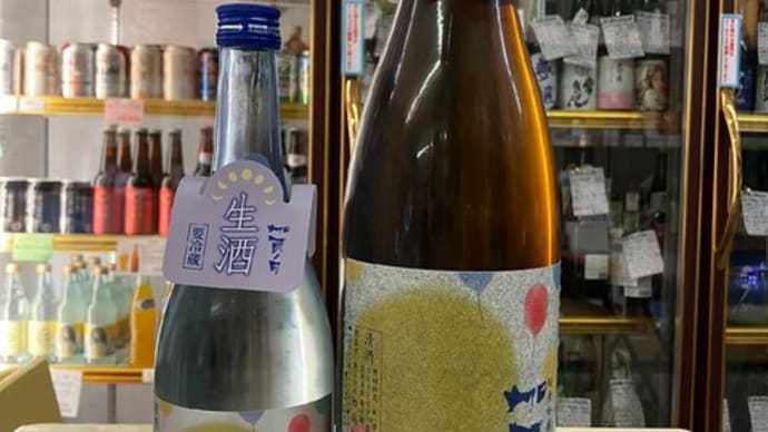 春~夏の生酒の入荷です!