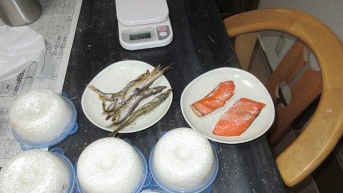 魚、足りてないから、ししゃもと鮭のアラ(業務スーパー)