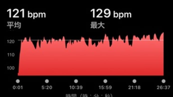 歯の定期クリーニング & スイム1000m
