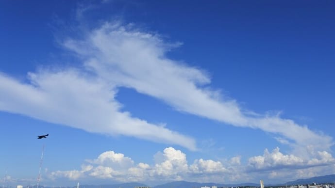 真夏の空