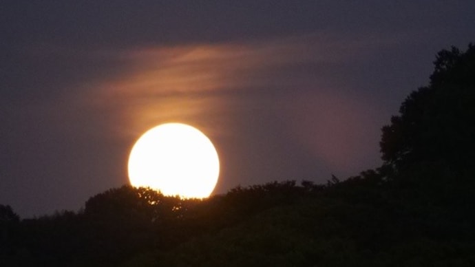 仲秋の名月を楽しむ♪(9月29日)