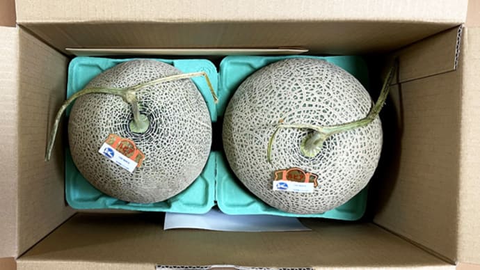 ふるさと納税 北海道産赤肉メロン大玉 2玉@北海道滝川市