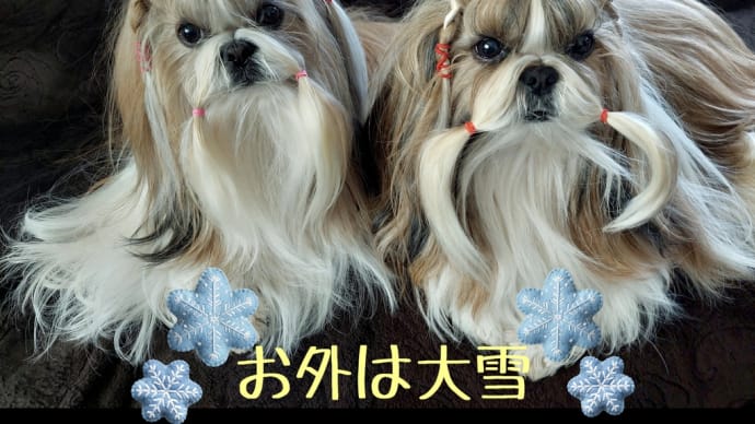 まだまだ続く大雪警報⛄