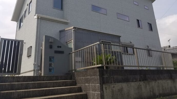 太古の昔から、受けつながれるこの、原始植物(^_-)-☆