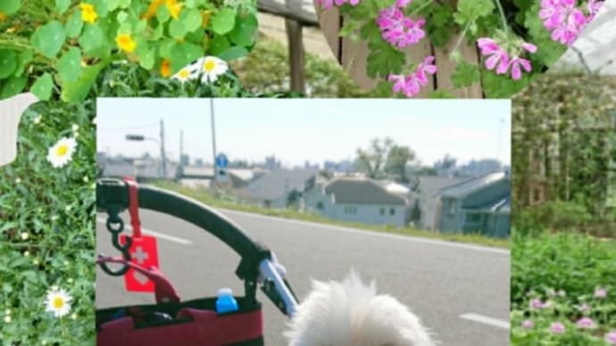 またまた来ました💕