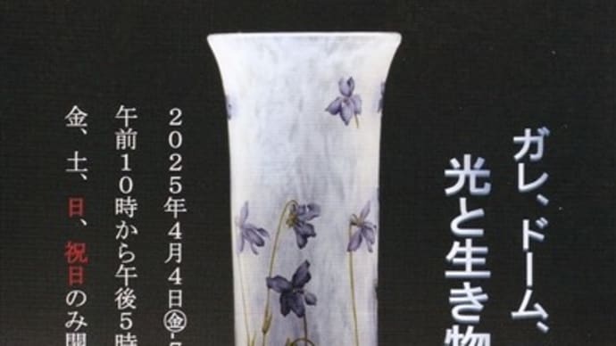 「光と生き物のデザイン」/みらい美術館