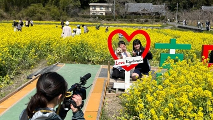 菜の花畑で撮影