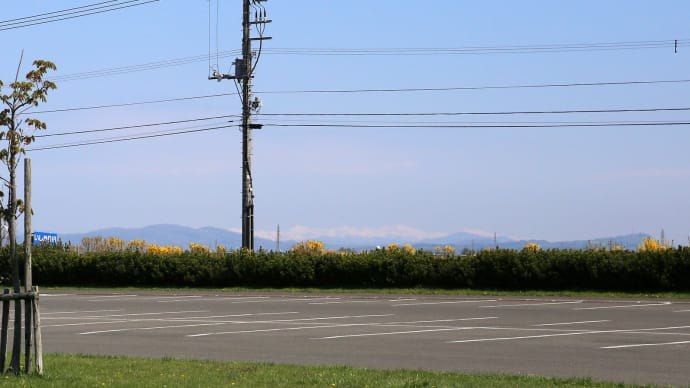 農産物直売所とその周り、そしてうど2