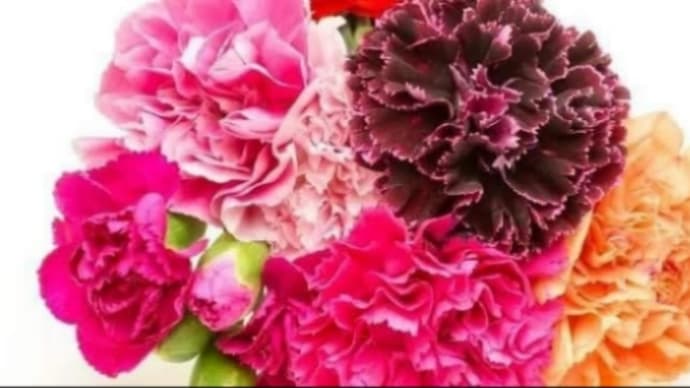 母の日は花束より・・・