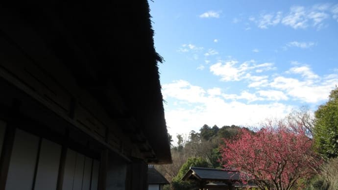 本郷ふじやま公園　古民家と梅