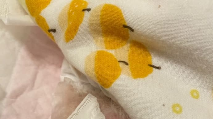 とうとう