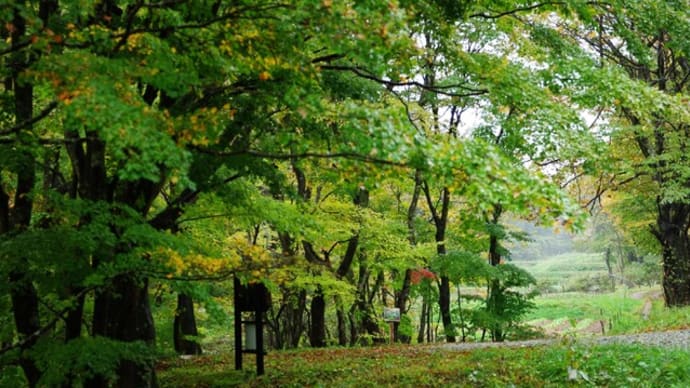高田島の続ヶ滝