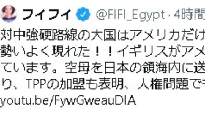 ブサイク外タレ「フィフィ」の顔も心も醜い本性顕わ。TVで見ないと思ったらネトウヨ工作員になってたw 何の力もない対中強行策を喚く滑稽