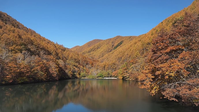 ★竜ケ沢ダム&巣栗渓谷の紅葉🍂 2020