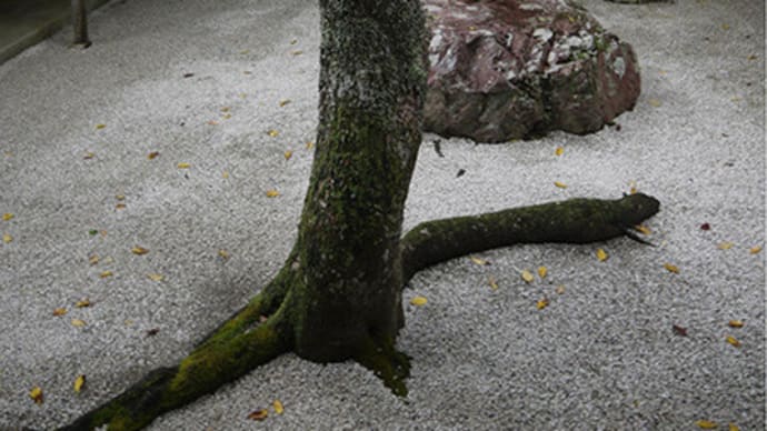 【緑・白砂、素材を感じる庭園美へ 高野山・金剛峯寺-9】