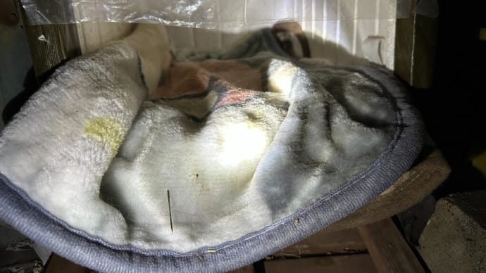 黒猫ダブルの小屋暖房 カイロ入れ替え