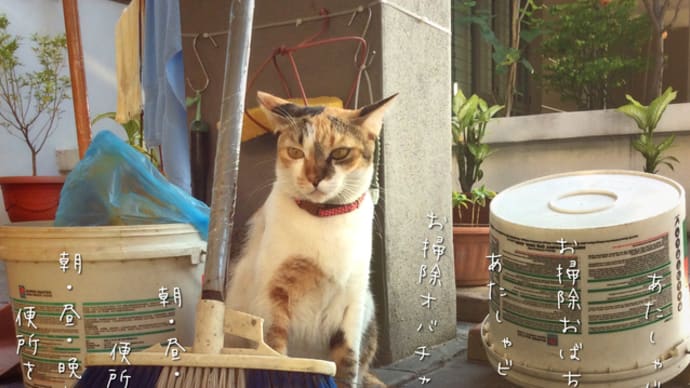猫は健康に悪い