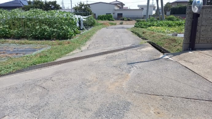 草刈りしました🎵