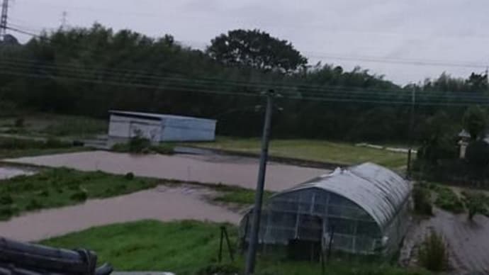 台風の被害は?