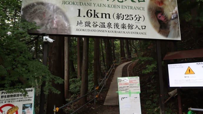 2020年10月-04 長野旅行(3泊4日)地獄谷野猿公苑