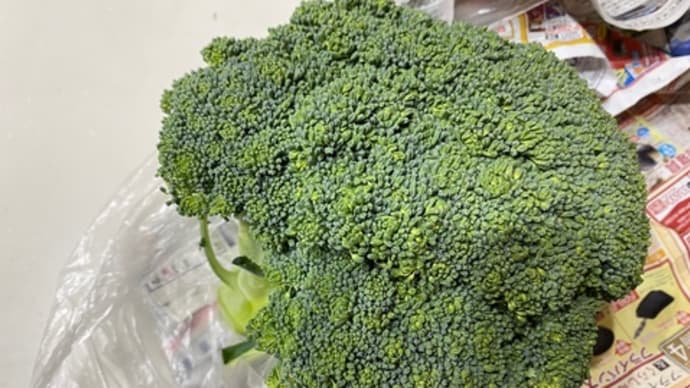 野菜の冷凍保存