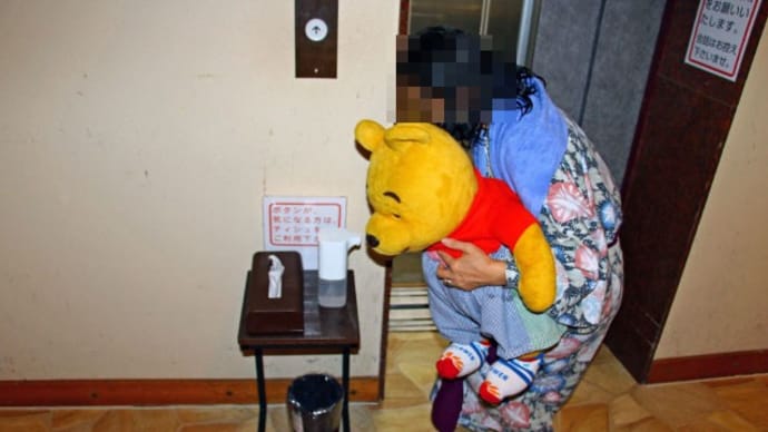 プーさん 群馬県利根郡みなかみ町 宝川温泉 汪泉閣に行ったんだよおおう その15