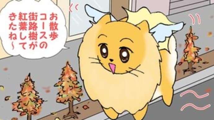 もう12月なんだ!
